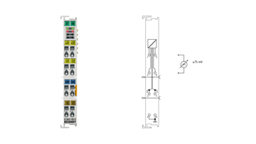 EL3602-0010 | EtherCAT 端子模块，2 通道模拟量输入，电压，±75 mV，24 位，高精度