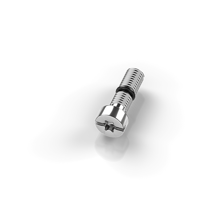 ZMX1000-0010 | M5 x 17.5 combi-TX25 replacement screws for module fastening